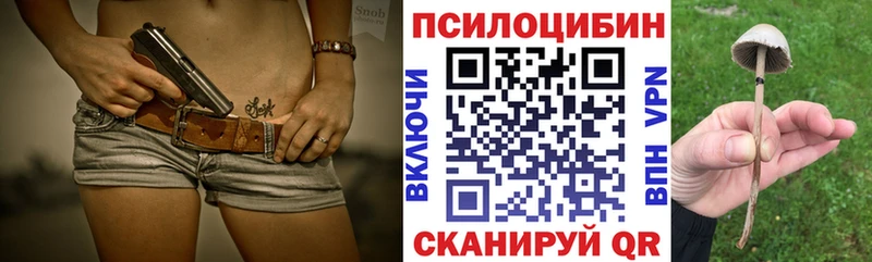 Купить закладки  Усть-Илимск  Галлюциногенные грибы GOLDEN TEACHER 